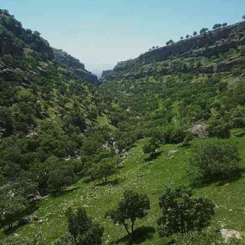 پوریا بیجنوند خیال